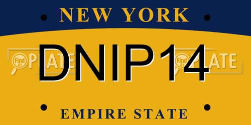 DNIP14 New York License Plate