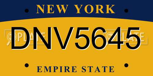 DNV5645 New York License Plate
