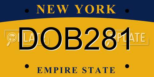 DOB281 New York License Plate