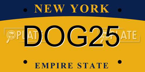 DOG25 New York License Plate