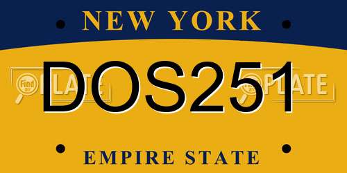 DOS251 New York License Plate