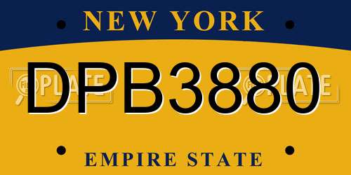 DPB3880 New York License Plate