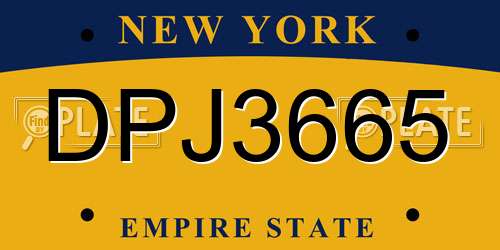 DPJ3665 New York License Plate