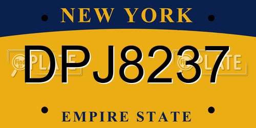 DPJ8237 New York License Plate