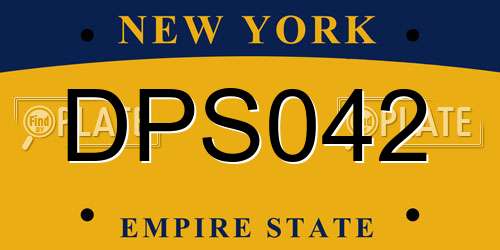 DPS042 New York License Plate