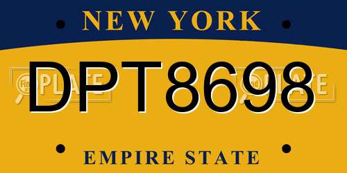 DPT8698 New York License Plate