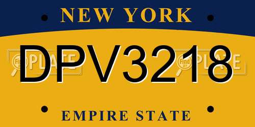 DPV3218 New York License Plate