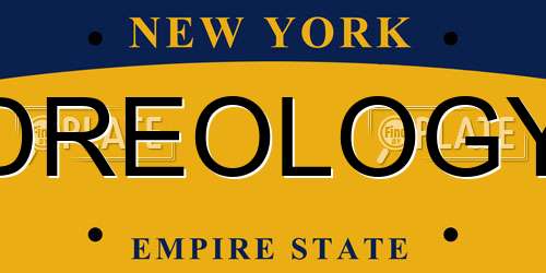DREOLOGY New York License Plate