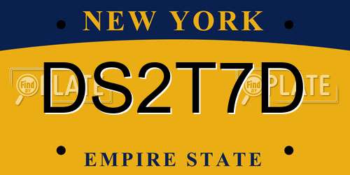 DS2T7D New York License Plate
