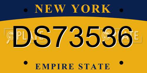 DS73536 New York License Plate