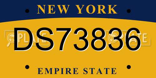 DS73836 New York License Plate