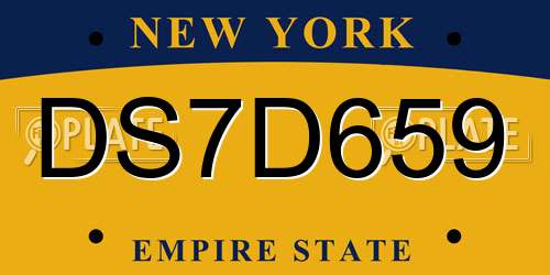 DS7D659 New York License Plate
