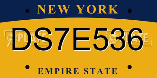 DS7E536 New York License Plate