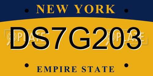 DS7G203 New York License Plate