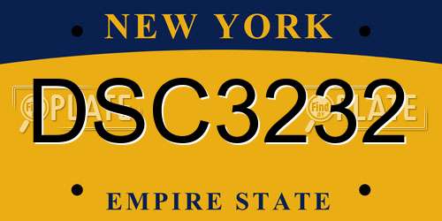 DSC3232 New York License Plate