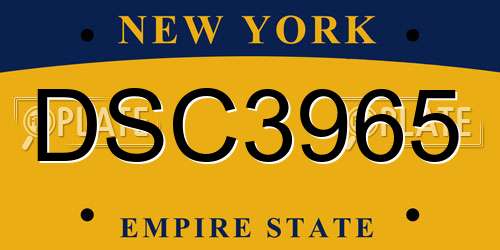 DSC3965 New York License Plate