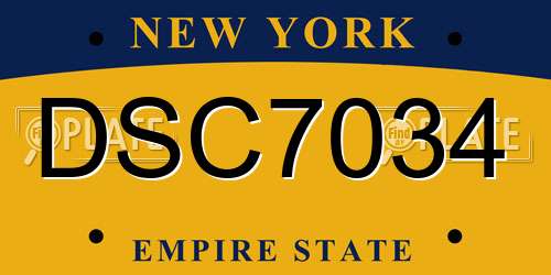 DSC7034 New York License Plate