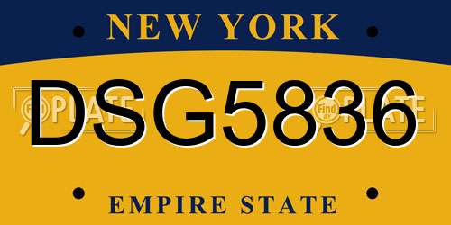 DSG5836 New York License Plate