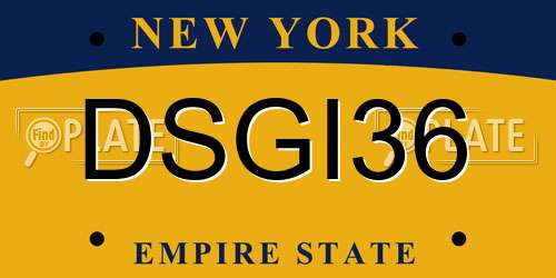 DSGI36 New York License Plate
