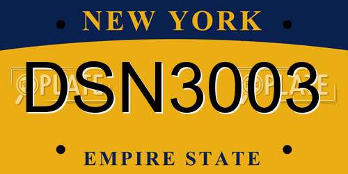 DSN3003 New York License Plate