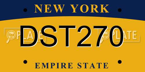 DST270 New York License Plate