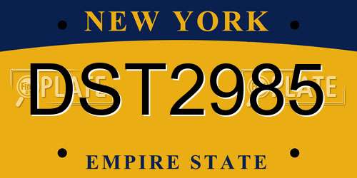DST2985 New York License Plate