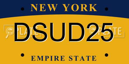 DSUD25 New York License Plate