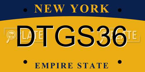 DTGS36 New York License Plate