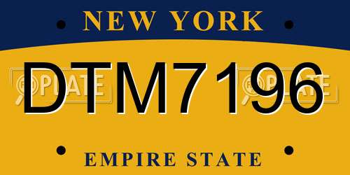 DTM7196 New York License Plate