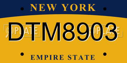 DTM8903 New York License Plate