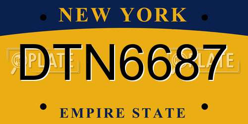 DTN6687 New York License Plate