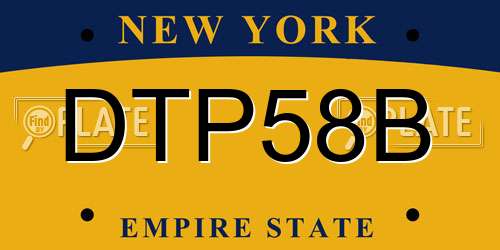 DTP58B New York License Plate