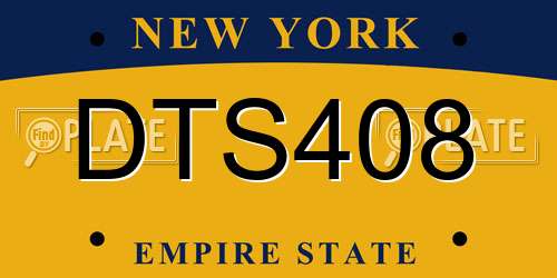 DTS408 New York License Plate