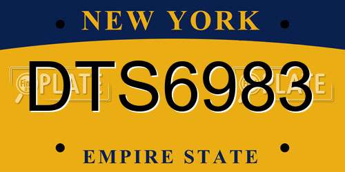 DTS6983 New York License Plate