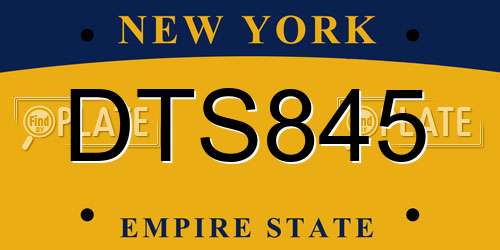 DTS845 New York License Plate