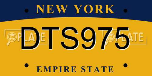 DTS975 New York License Plate