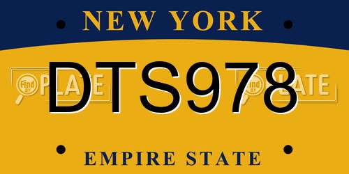 DTS978 New York License Plate