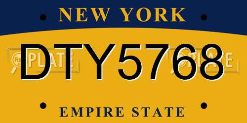 DTY5768 New York License Plate