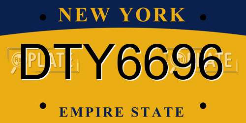 DTY6696 New York License Plate