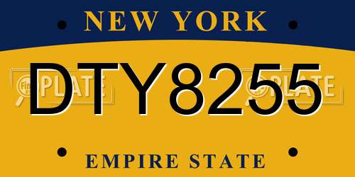 DTY8255 New York License Plate