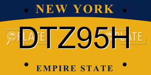 DTZ95H New York License Plate