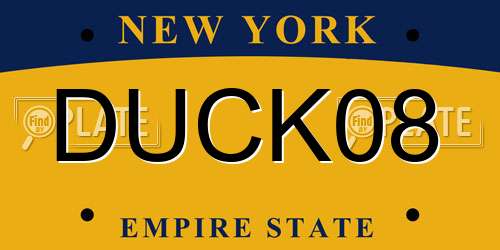 DUCK08 New York License Plate