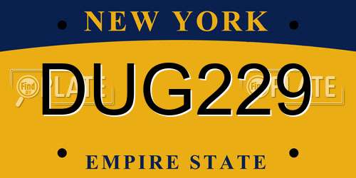 DUG229 New York License Plate