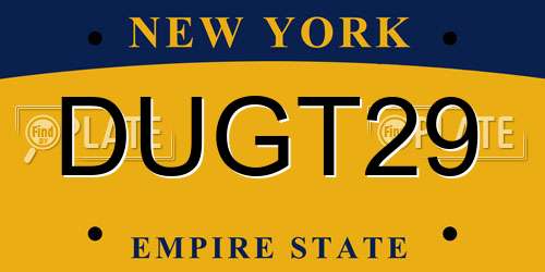 DUGT29 New York License Plate