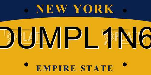 DUMPL1N6 New York License Plate