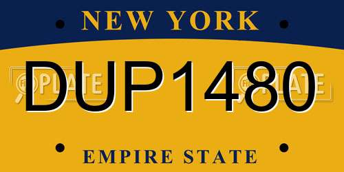 DUP1480 New York License Plate