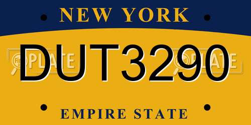 DUT3290 New York License Plate