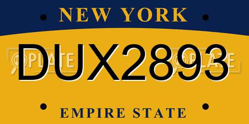DUX2893 New York License Plate