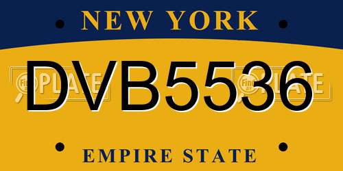 DVB5536 New York License Plate