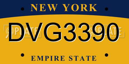 DVG3390 New York License Plate